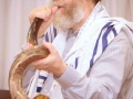 BSI_kl-33032